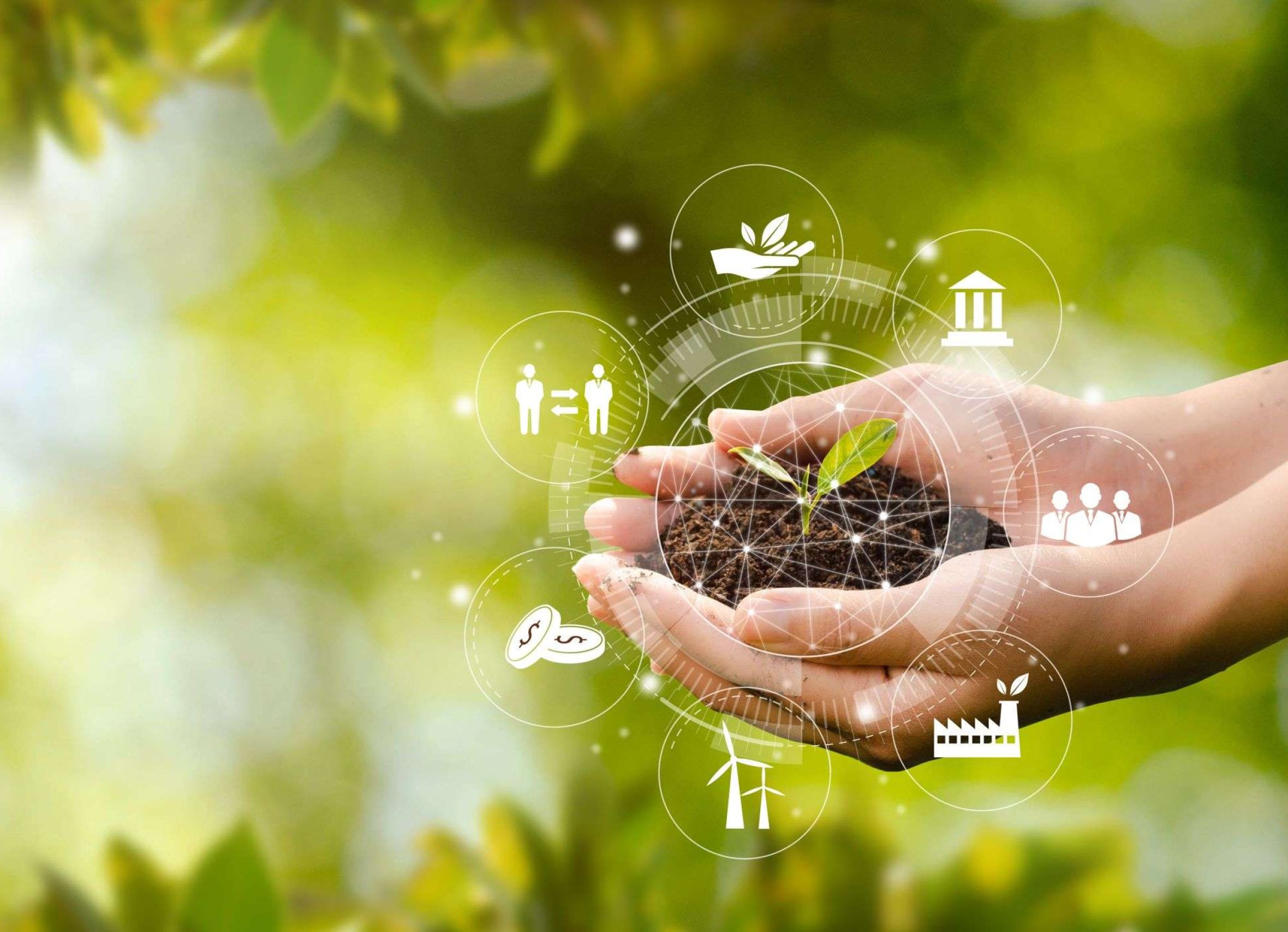 Hand,Planting,Trees,With,Technology,Of,Renewable,Resources,To,Reduce